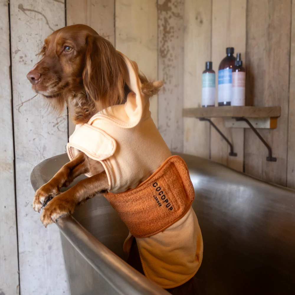 Roary the Lion Drying Robe - Image 19