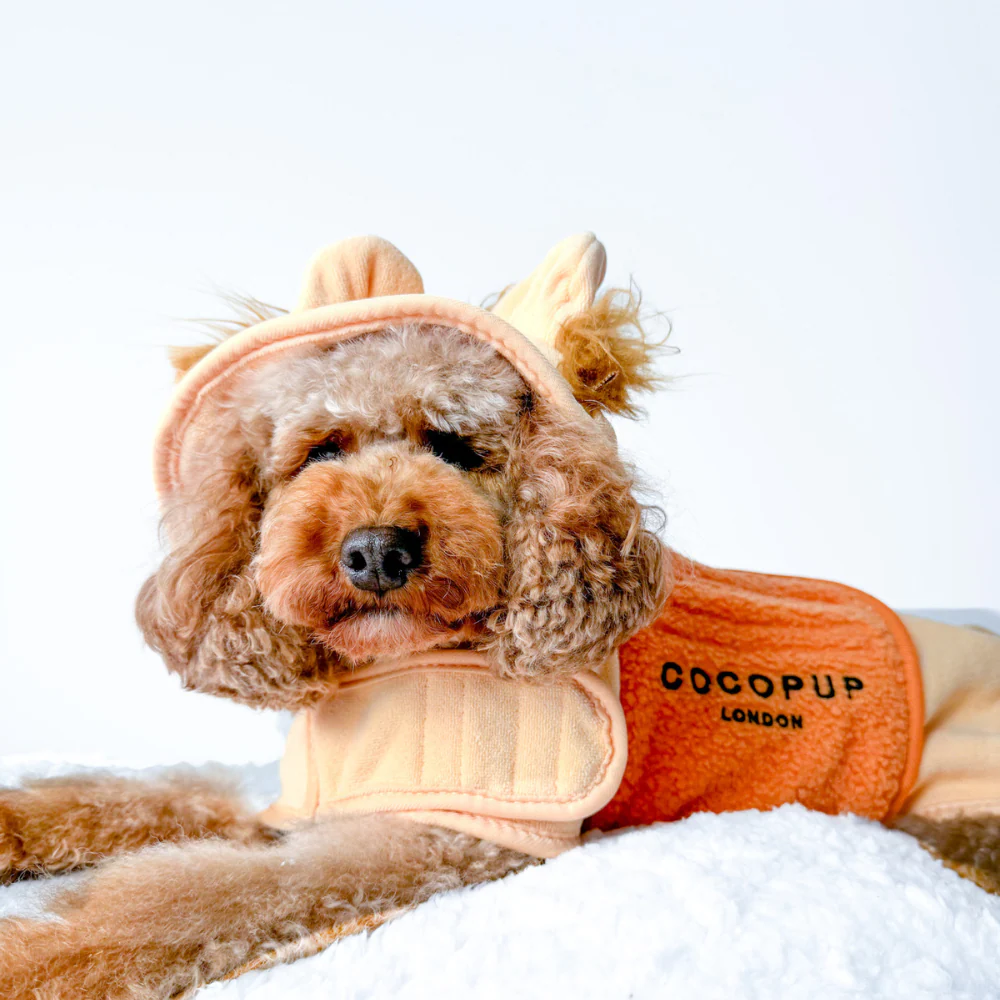 Roary the Lion Drying Robe - Image 7