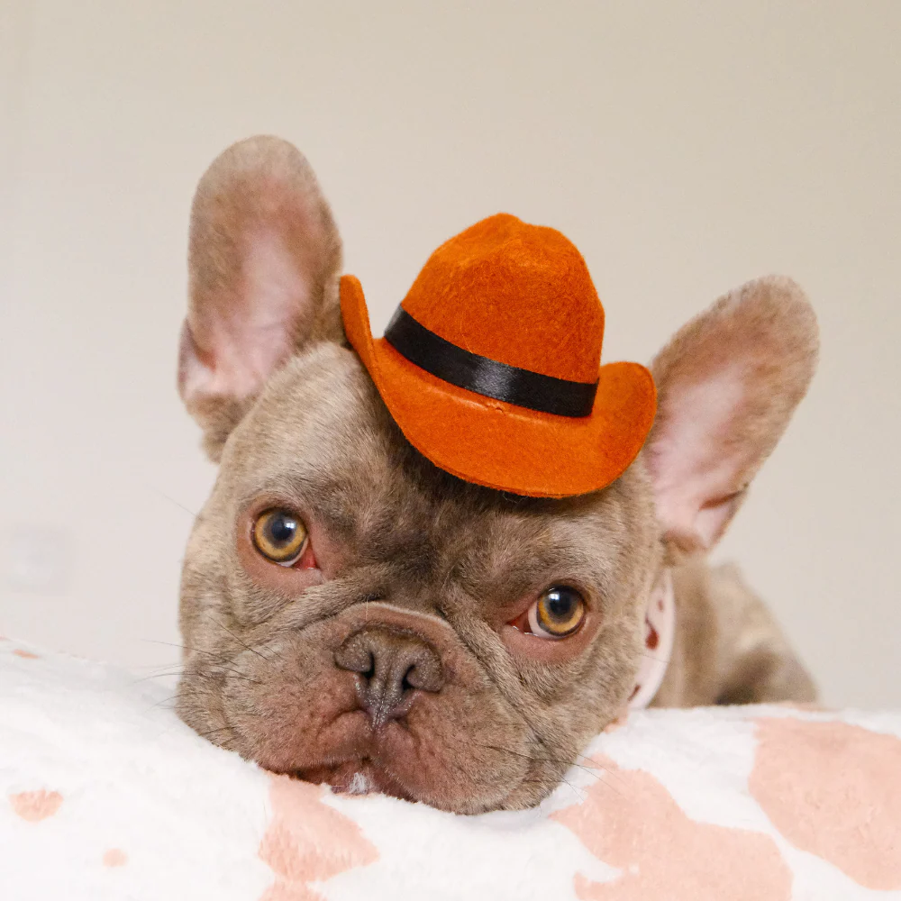 Rodeo Pup Dog Hat - Image 10