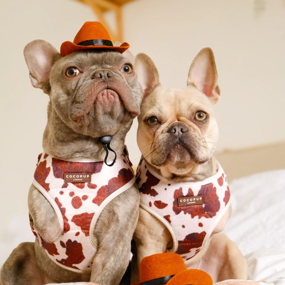 Rodeo Pup Dog Hat - Image 12