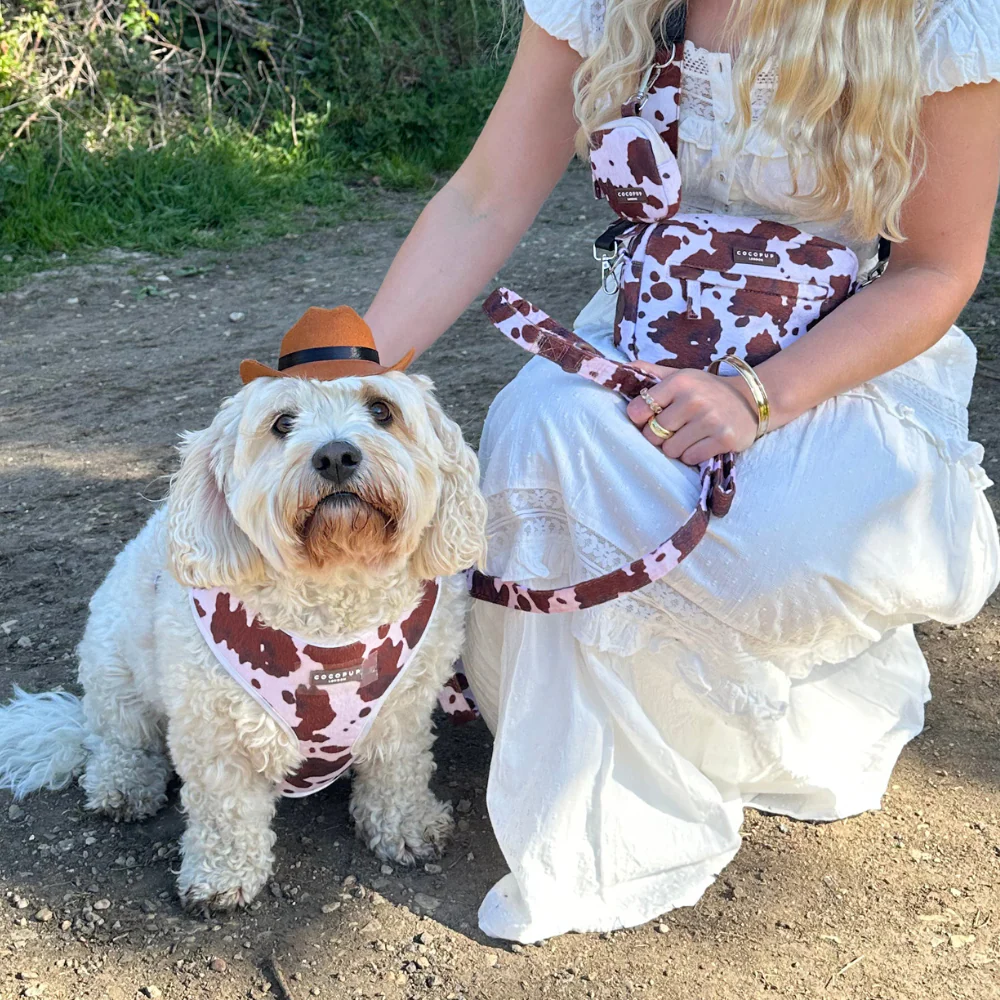 Rodeo Pup Dog Hat - Image 4