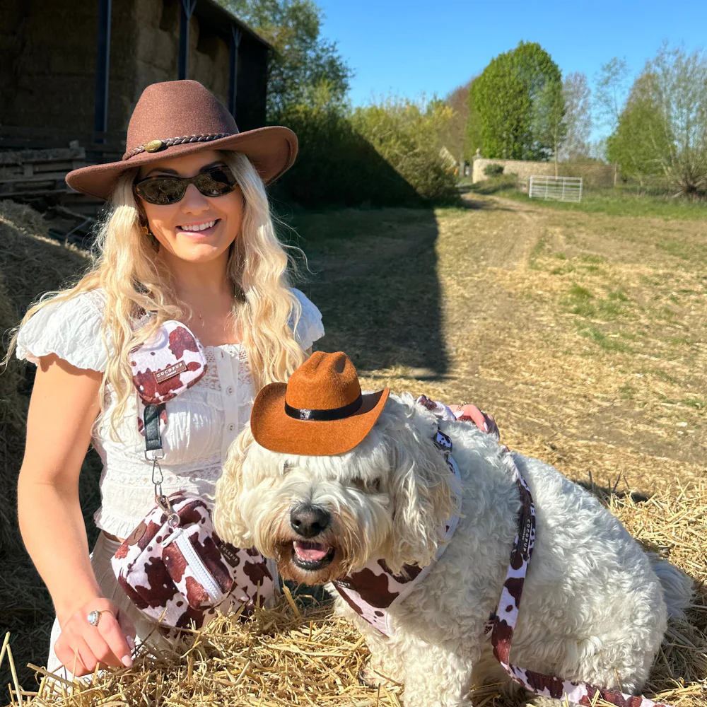 Rodeo Pup Dog Hat - Image 5