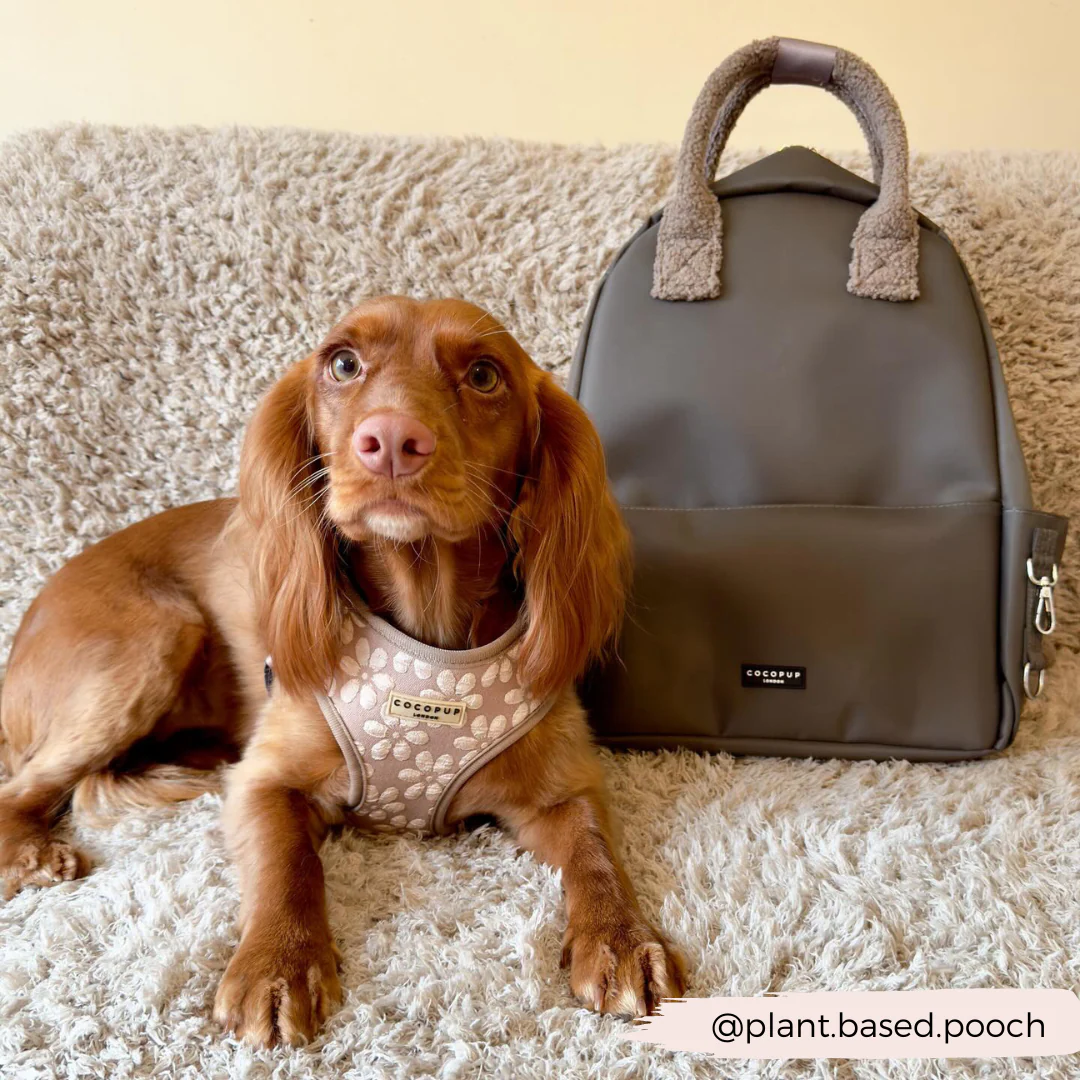 Rucksack - Mocha - Image 4