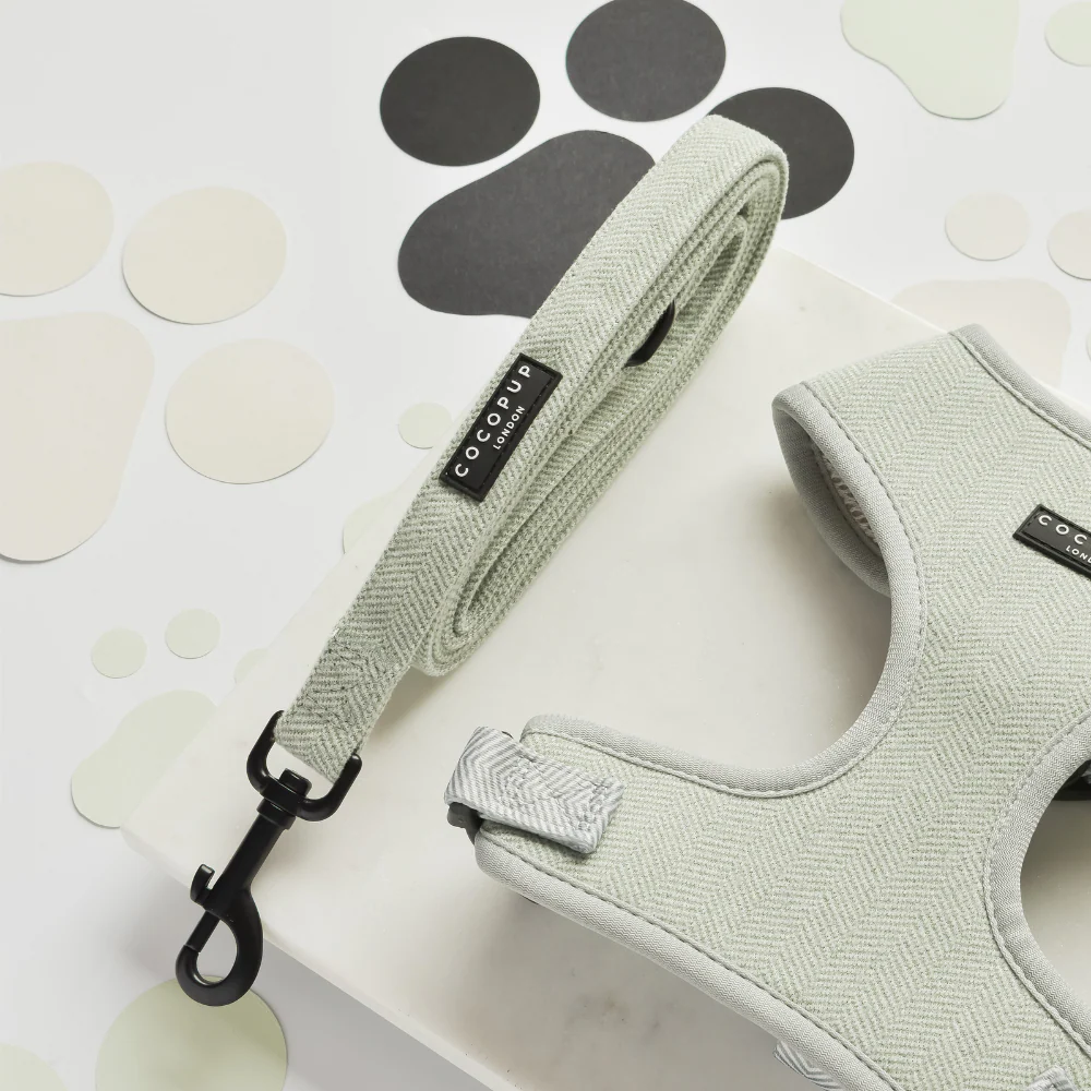 Sage Tweed Adjustable Neck Harness, Lead & Collar Bundle - Image 2
