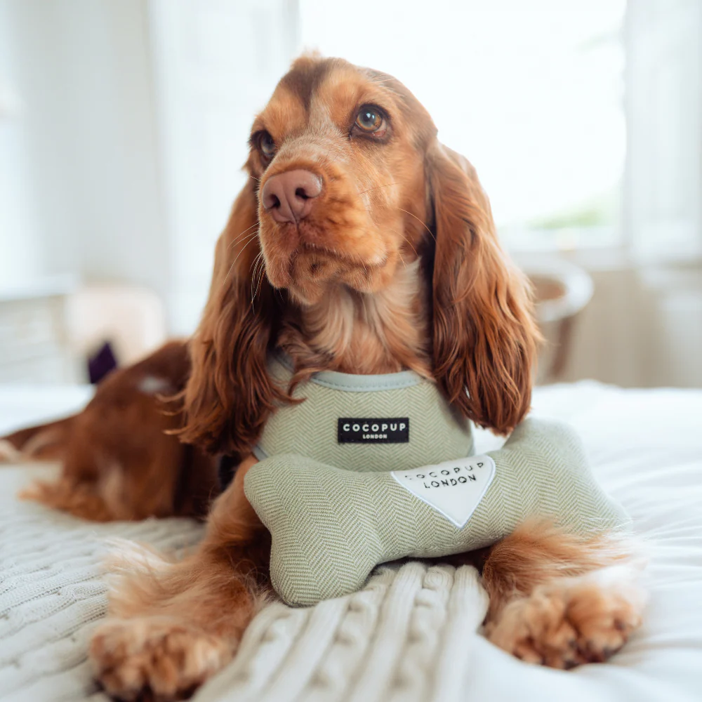Sage Tweed Bone Toy - Image 5