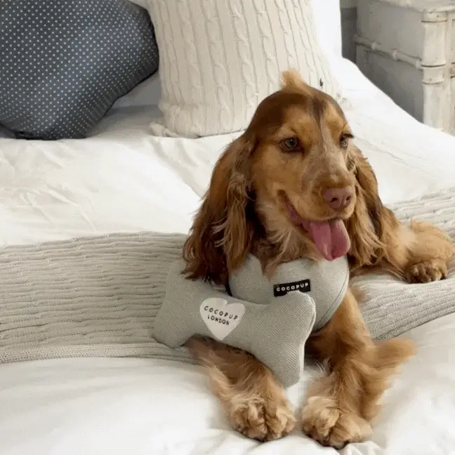 Sage Tweed Bone Toy - Image 7