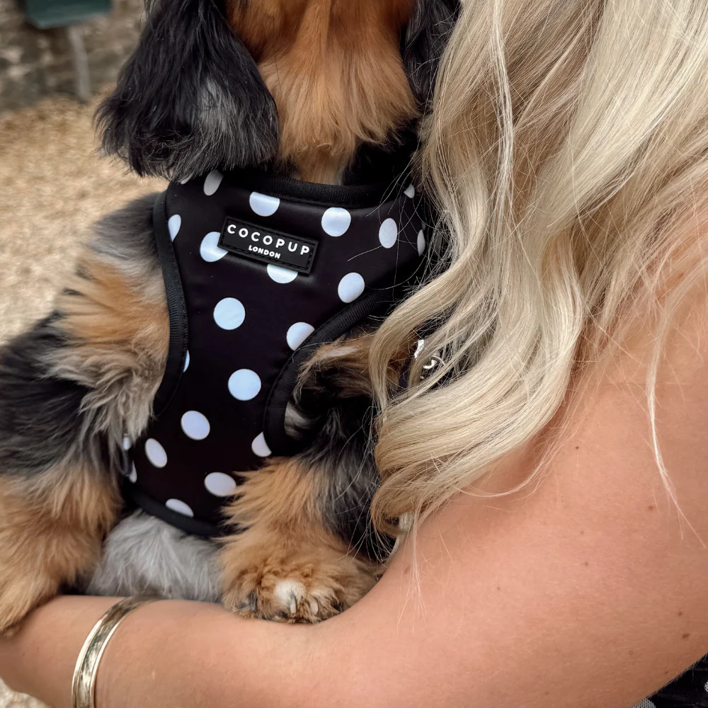Polka Dot Adjustable Neck HARNESS - Image 7