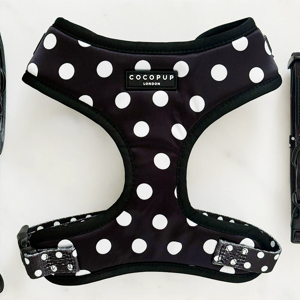 Polka Dot Adjustable Neck Harness, Lead & Collar Bundle - Image 3