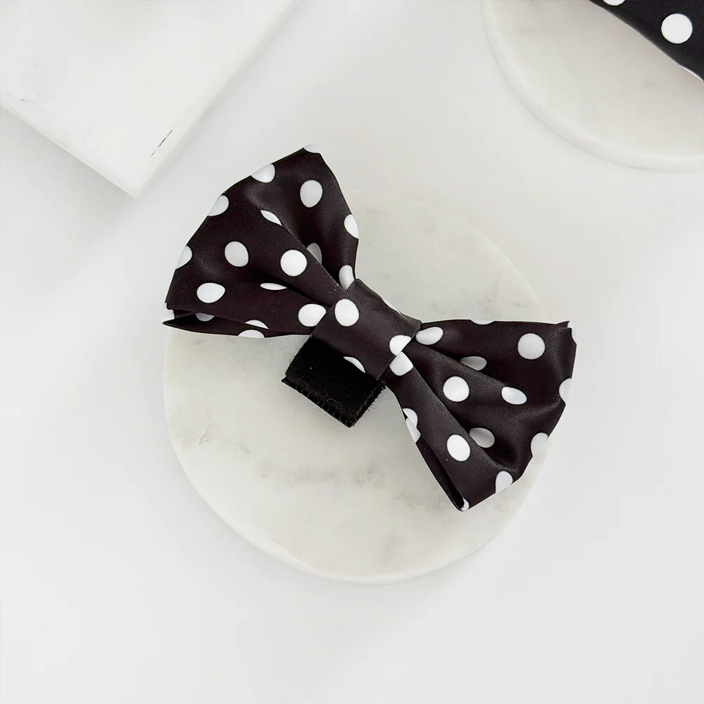 Polka Dot Bow Tie