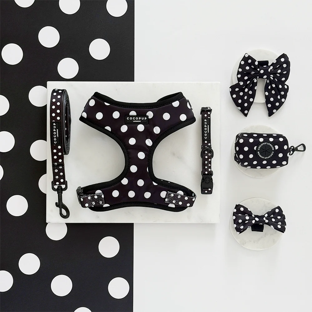 Polka Dot Lead - Image 3