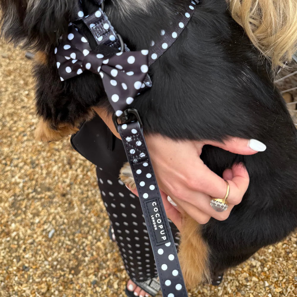 Polka Dot Lead - Image 4