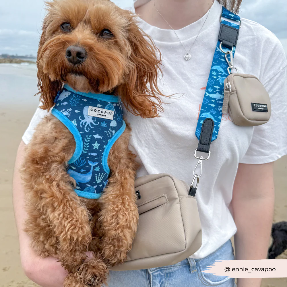 Bag Strap - Sea Life Pawty - Image 4