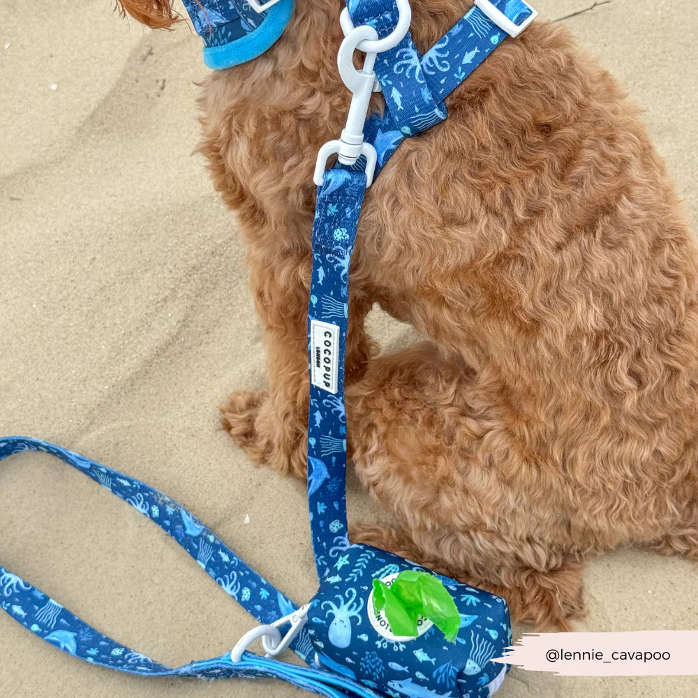 Sea Life Pawty Lead - Image 4
