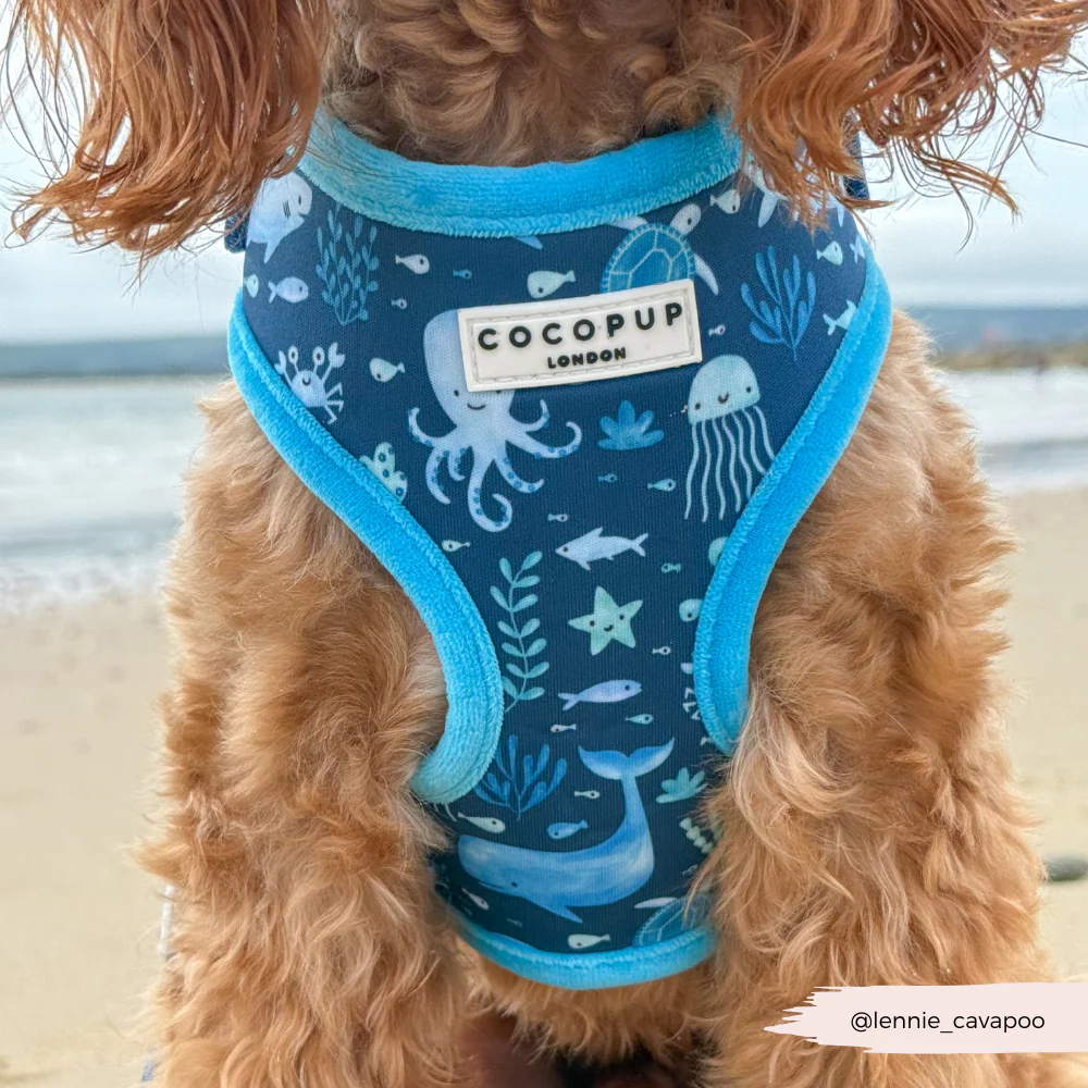 Sea Life Pawty Adjustable Neck HARNESS - Image 6