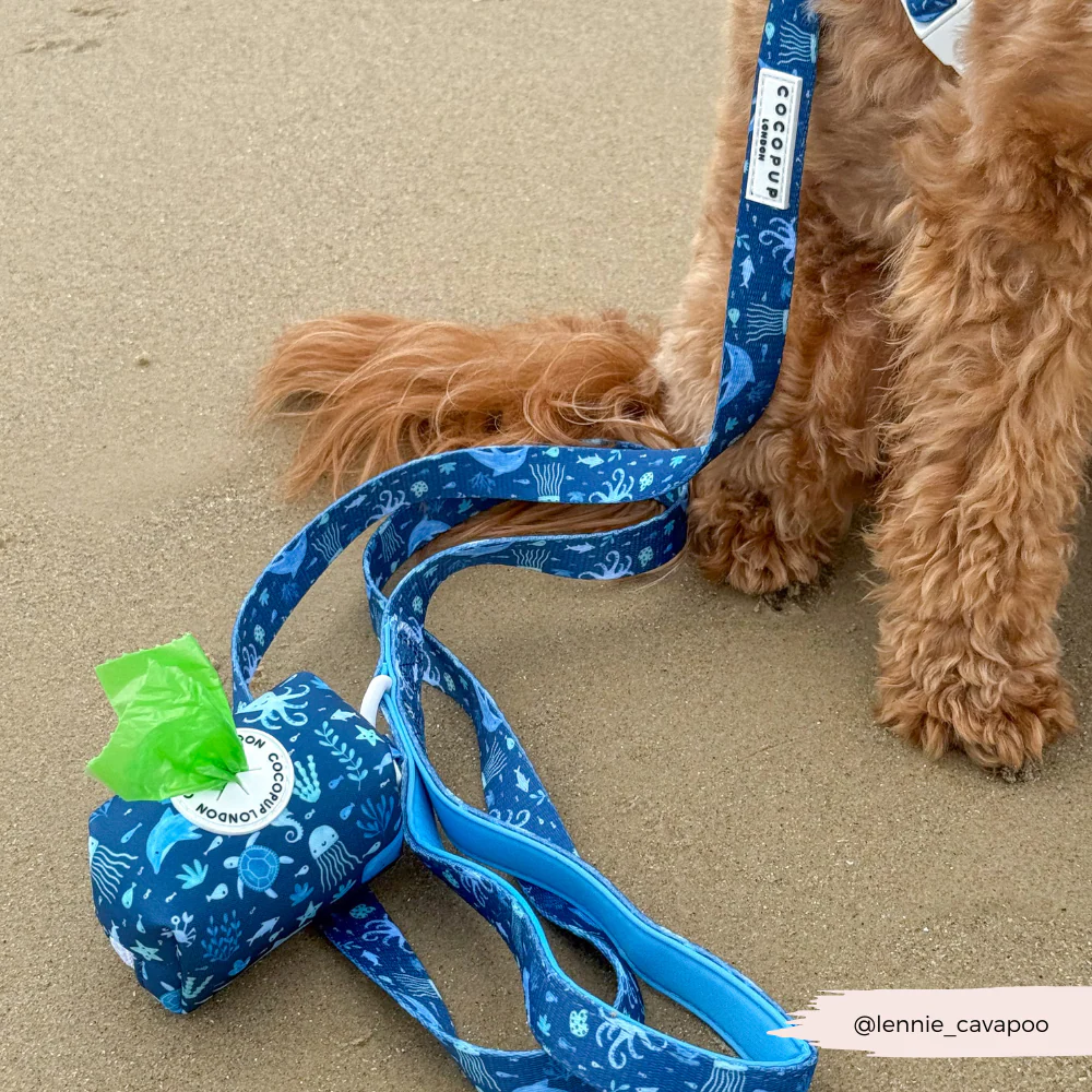 Sea Life Pawty Adjustable Neck Harness, Lead & Collar Bundle - Image 17