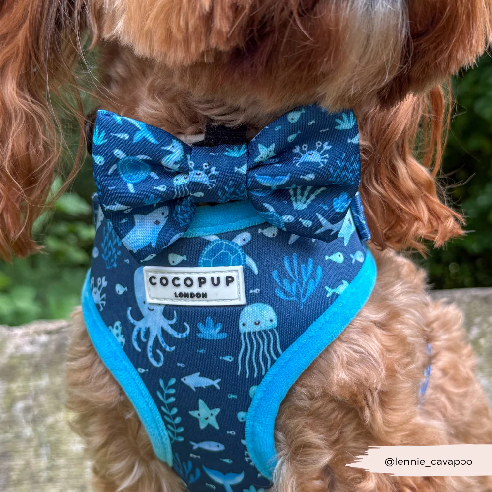 Sea Life Pawty Bow Tie - Image 3