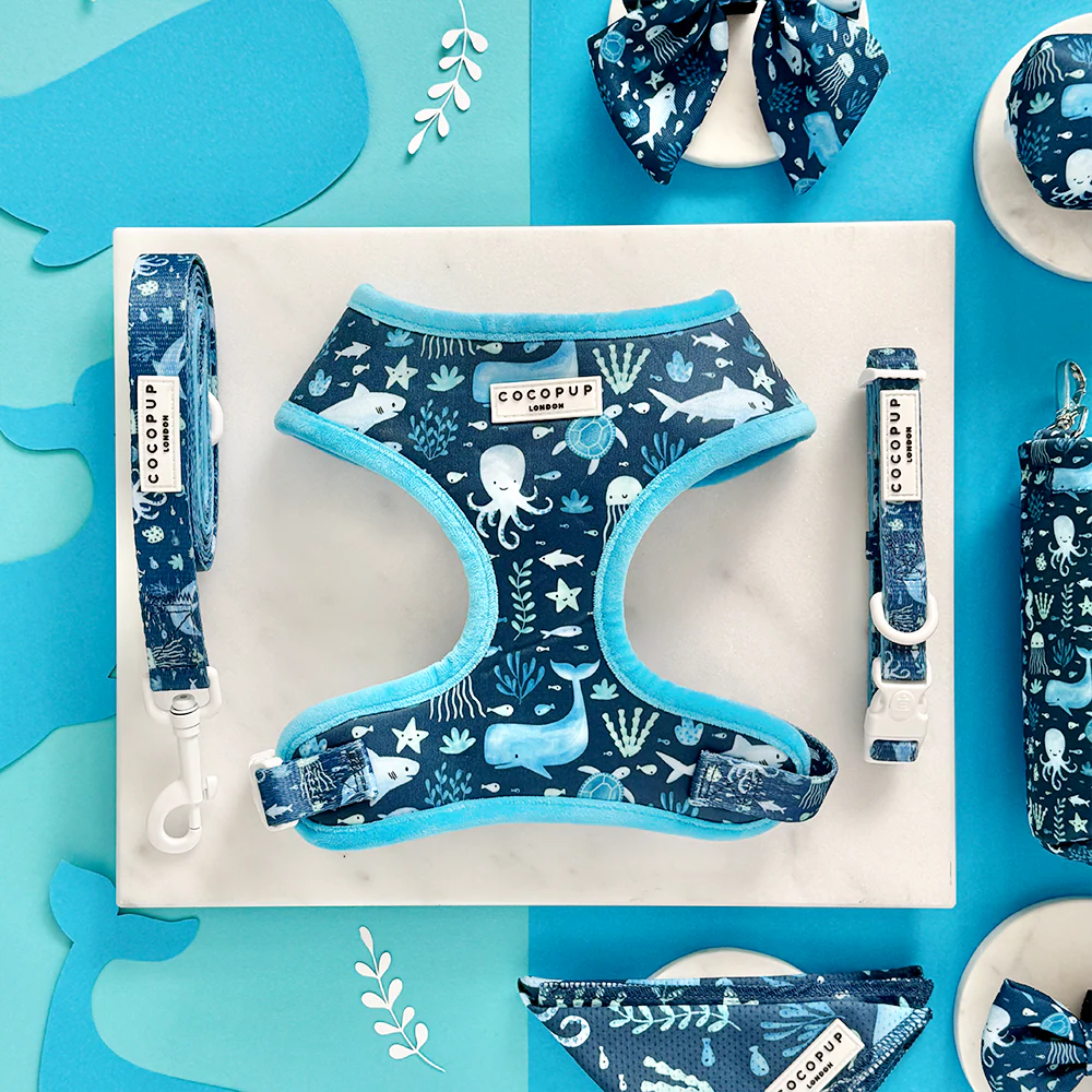 Sea Life Pawty Adjustable Neck Harness, Lead & Collar Bundle - Image 3