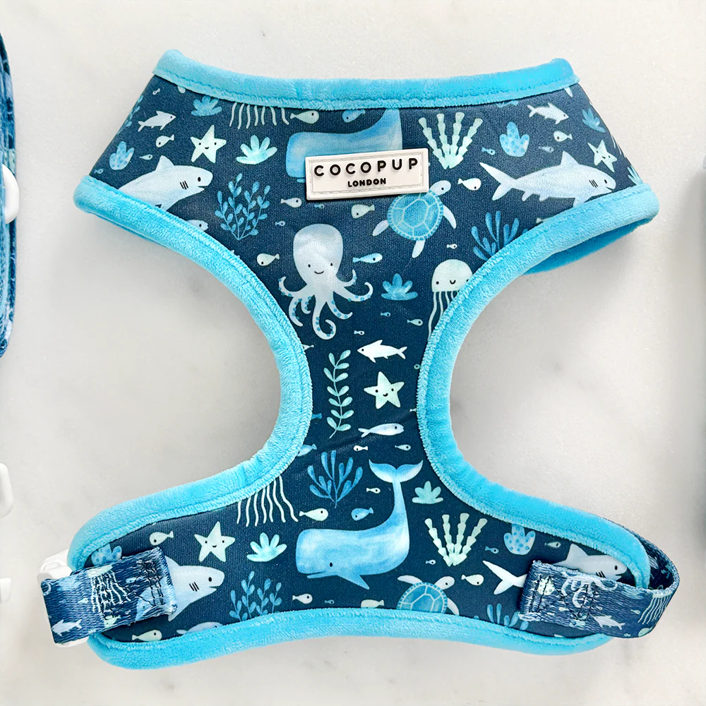 Sea Life Pawty Adjustable Neck Harness, Lead & Collar Bundle - Image 4