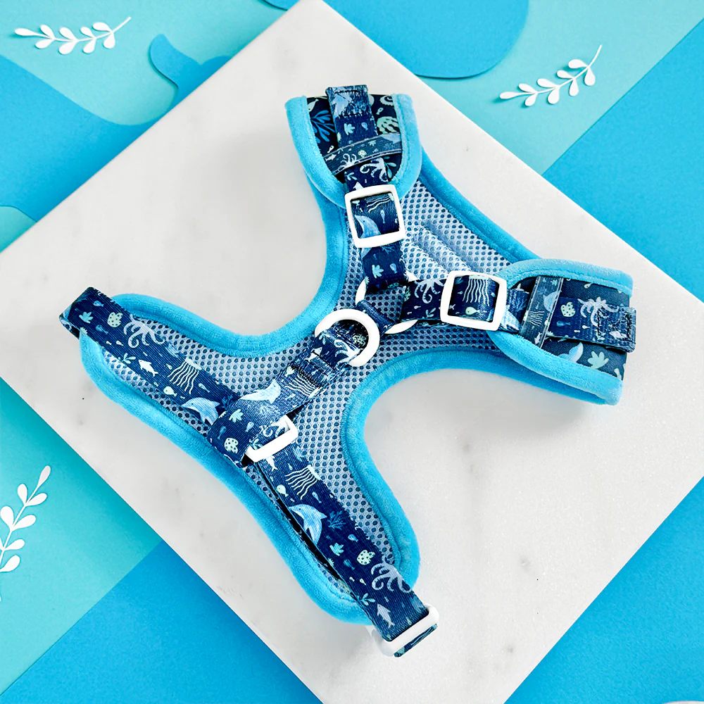 Sea Life Pawty Adjustable Neck Harness, Lead & Collar Bundle - Image 5