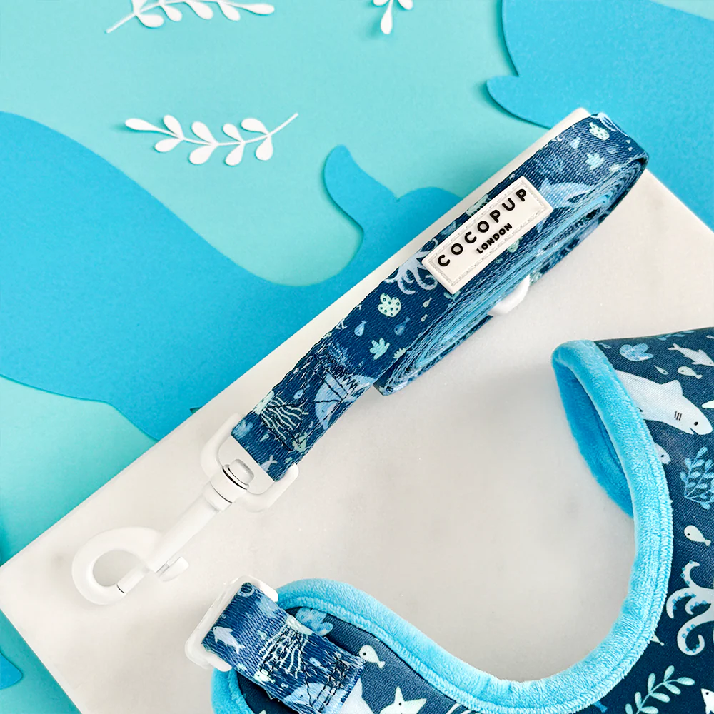 Sea Life Pawty Adjustable Neck Harness, Lead & Collar Bundle - Image 7