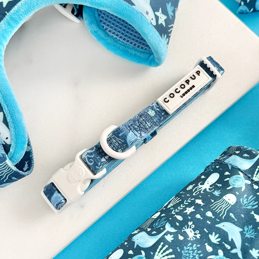 Sea Life Pawty Adjustable Neck Harness, Lead & Collar Bundle - Image 8