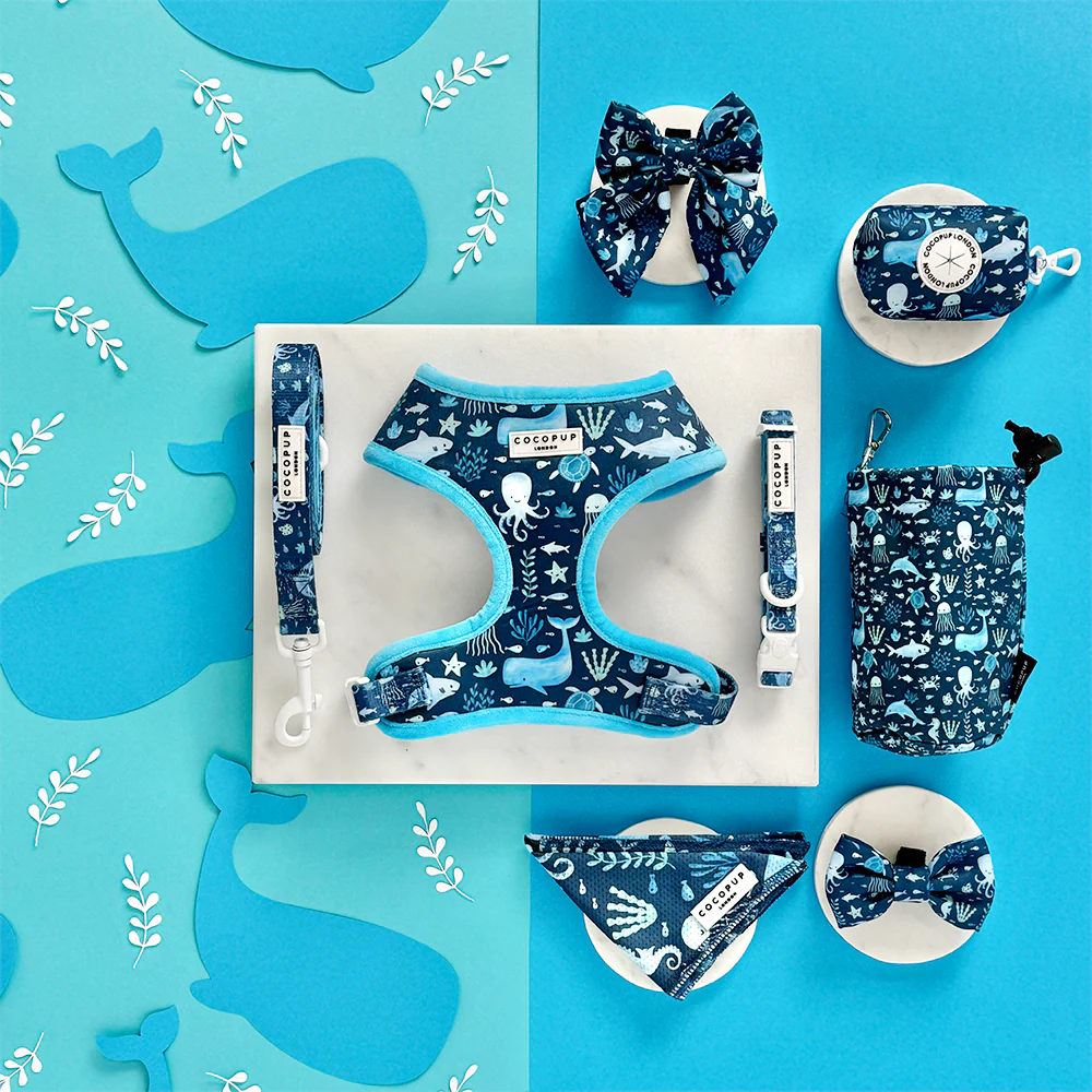 Sea Life Pawty Adjustable Neck Harness, Lead & Collar Bundle - Image 9