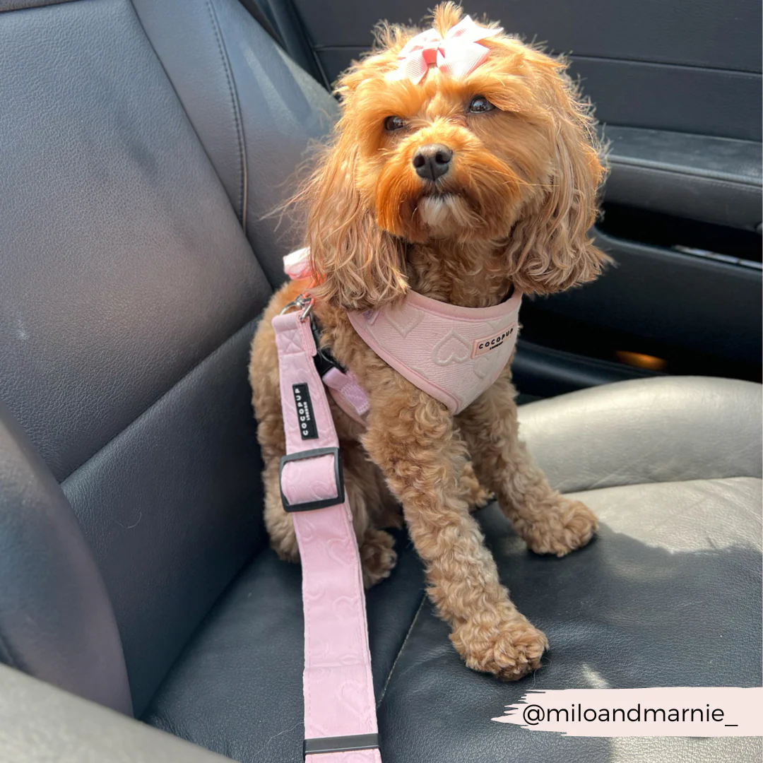 Seat Belt Restraint - Pink Heart - Image 2