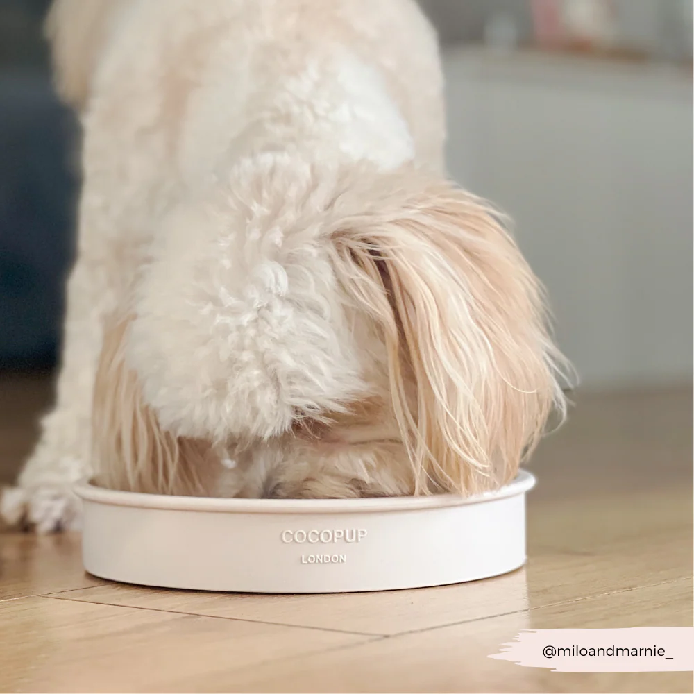 Slow Feeder Lick Dog Bowl - Baby Pink Flowers - Image 10