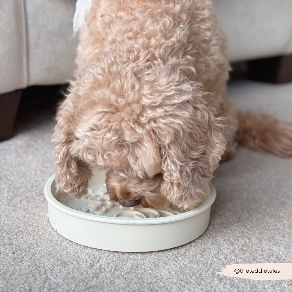 Slow Feeder Lick Dog Bowl - Cream Flowers - Image 8