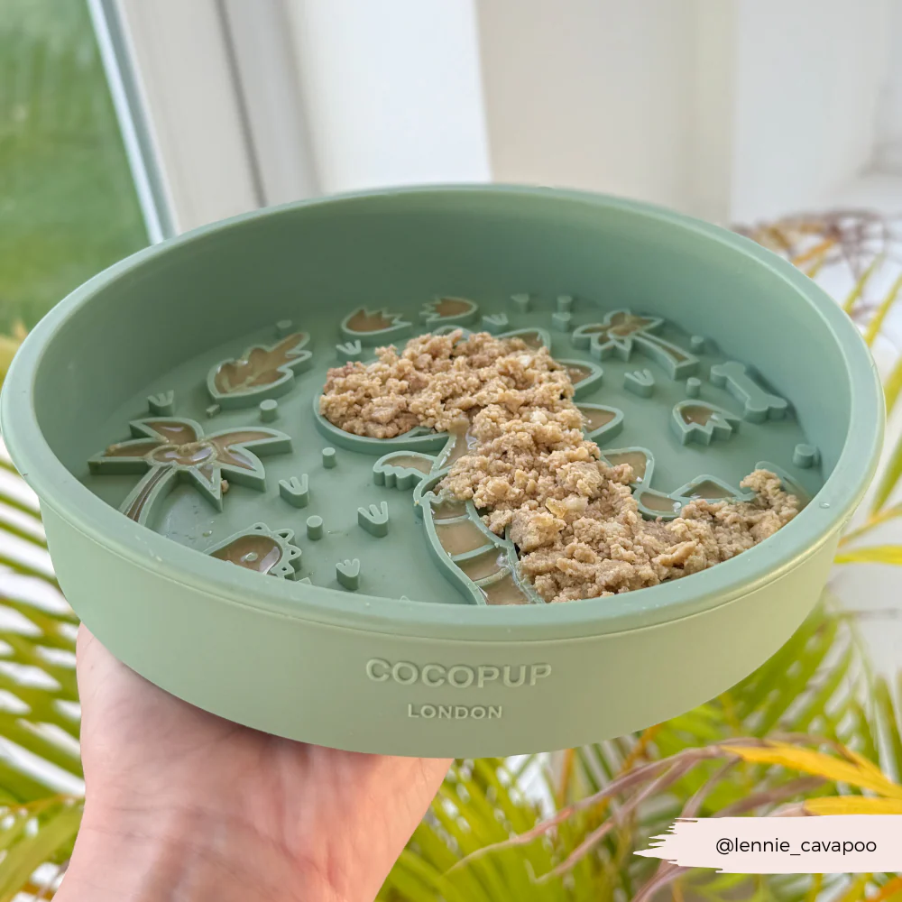 Slow Feeder Lick Dog Bowl - Dinopaws - Image 10