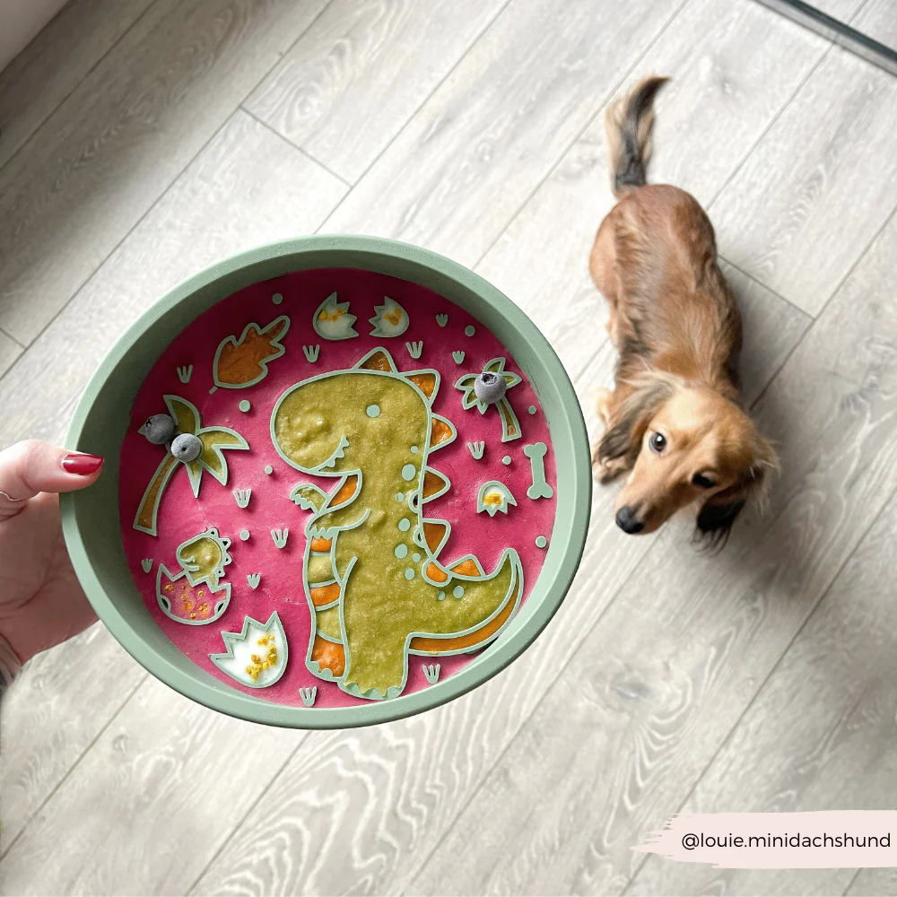 Slow Feeder Lick Dog Bowl - Dinopaws - Image 7