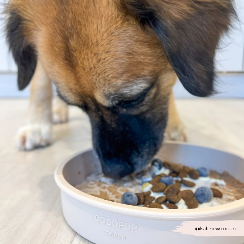 Slow Feeder Lick Dog Bowl - Pupberry Fields - Image 5
