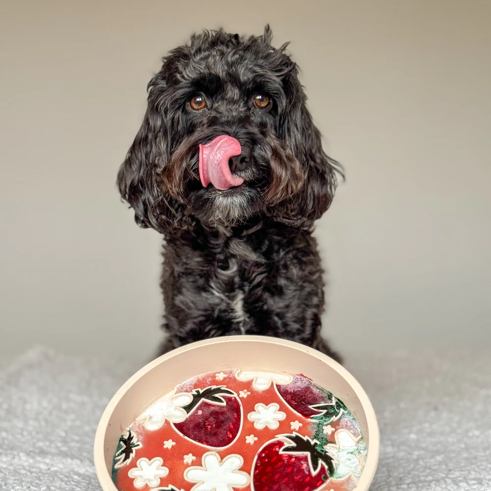 Slow Feeder Lick Dog Bowl - Pupberry Fields - Image 9