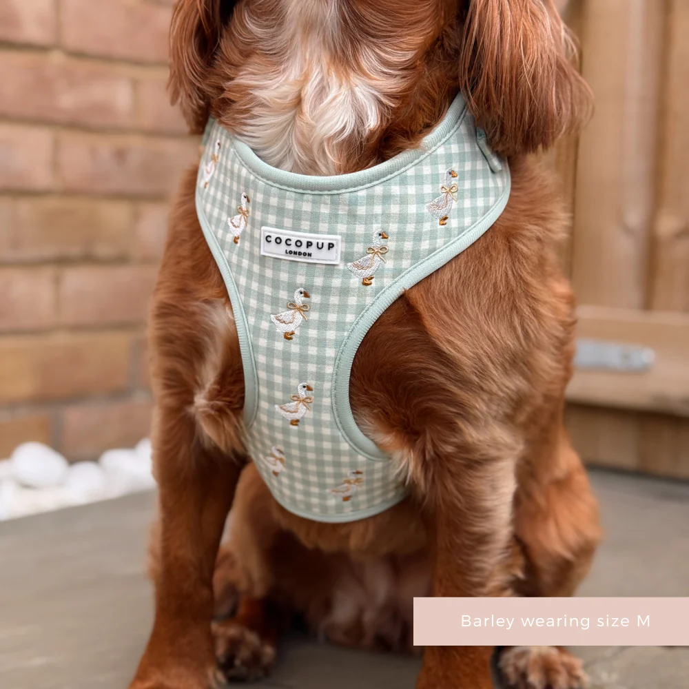 Silly Goose Adjustable Neck HARNESS - Image 5