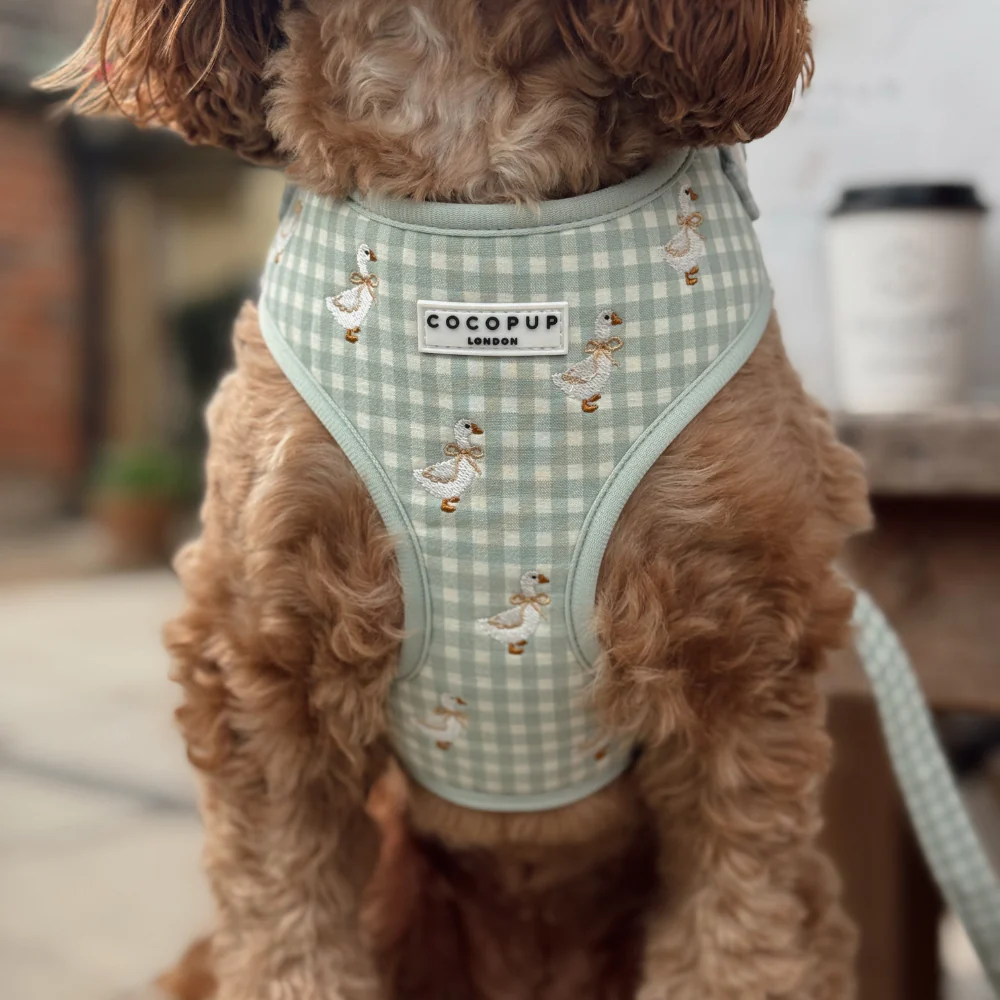 Silly Goose Adjustable Neck HARNESS - Image 6