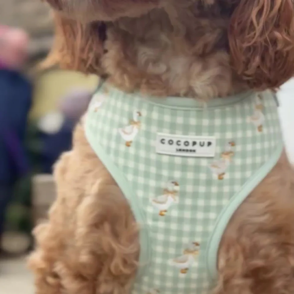 Silly Goose Adjustable Neck HARNESS - Image 9