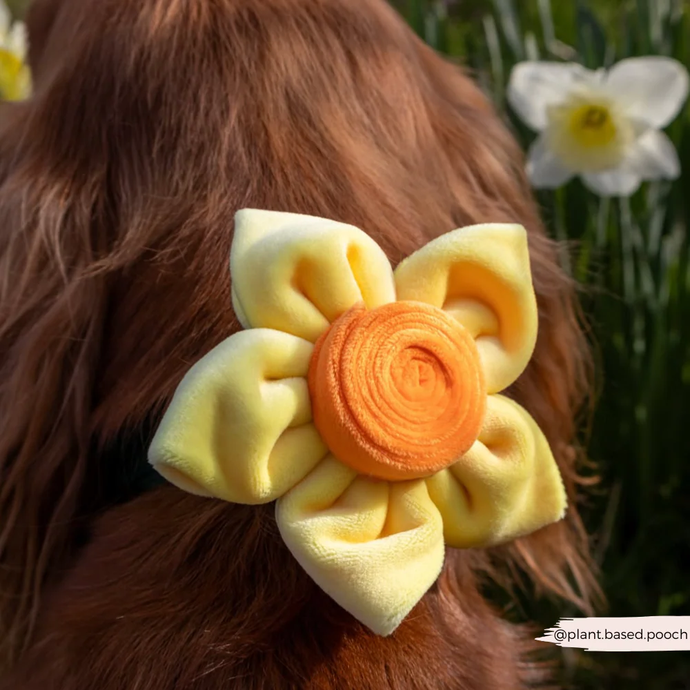 Spring Daffodil Collar Flower - Image 15