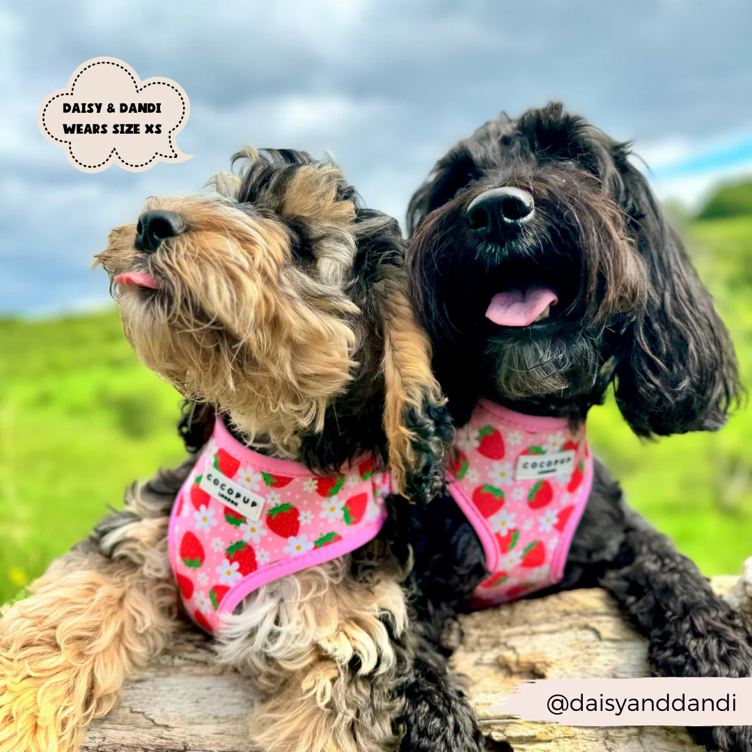 Pupberry Fields Adjustable Neck HARNESS - Image 4