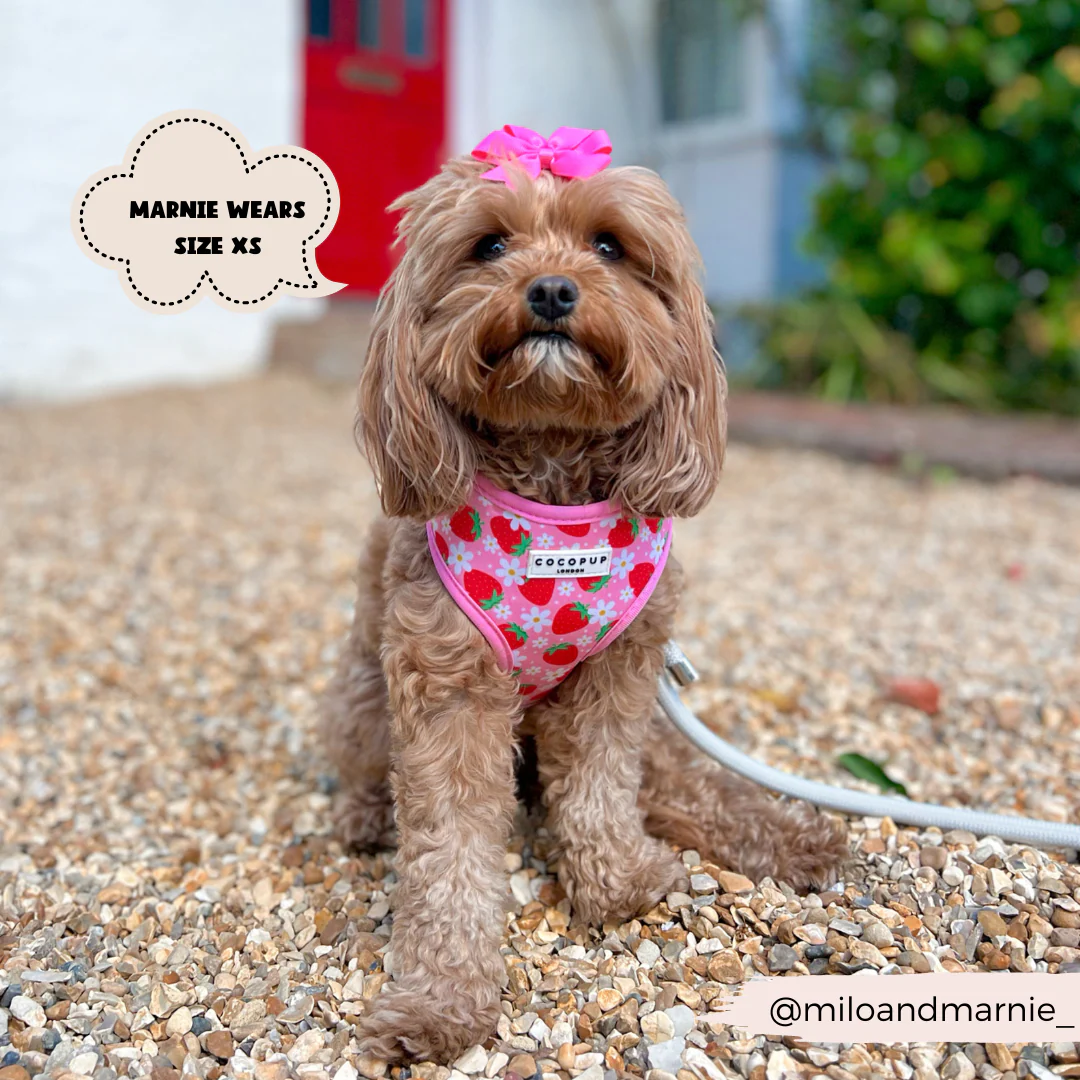 Pupberry Fields Adjustable Neck HARNESS - Image 6