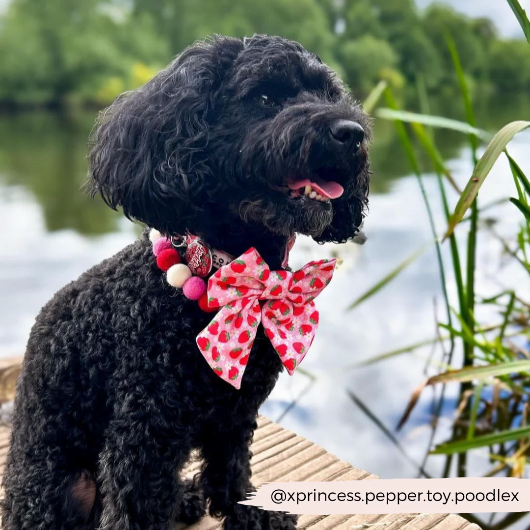 Pupberry Fields Sailor Bow Tie - Image 5