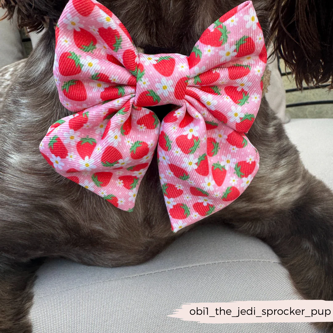 Pupberry Fields Sailor Bow Tie - Image 6