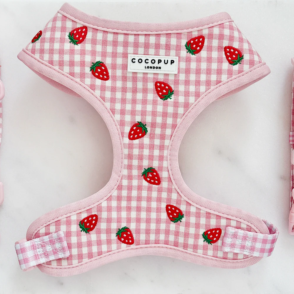Strawberry Picnic Pup Adjustable Neck HARNESS
