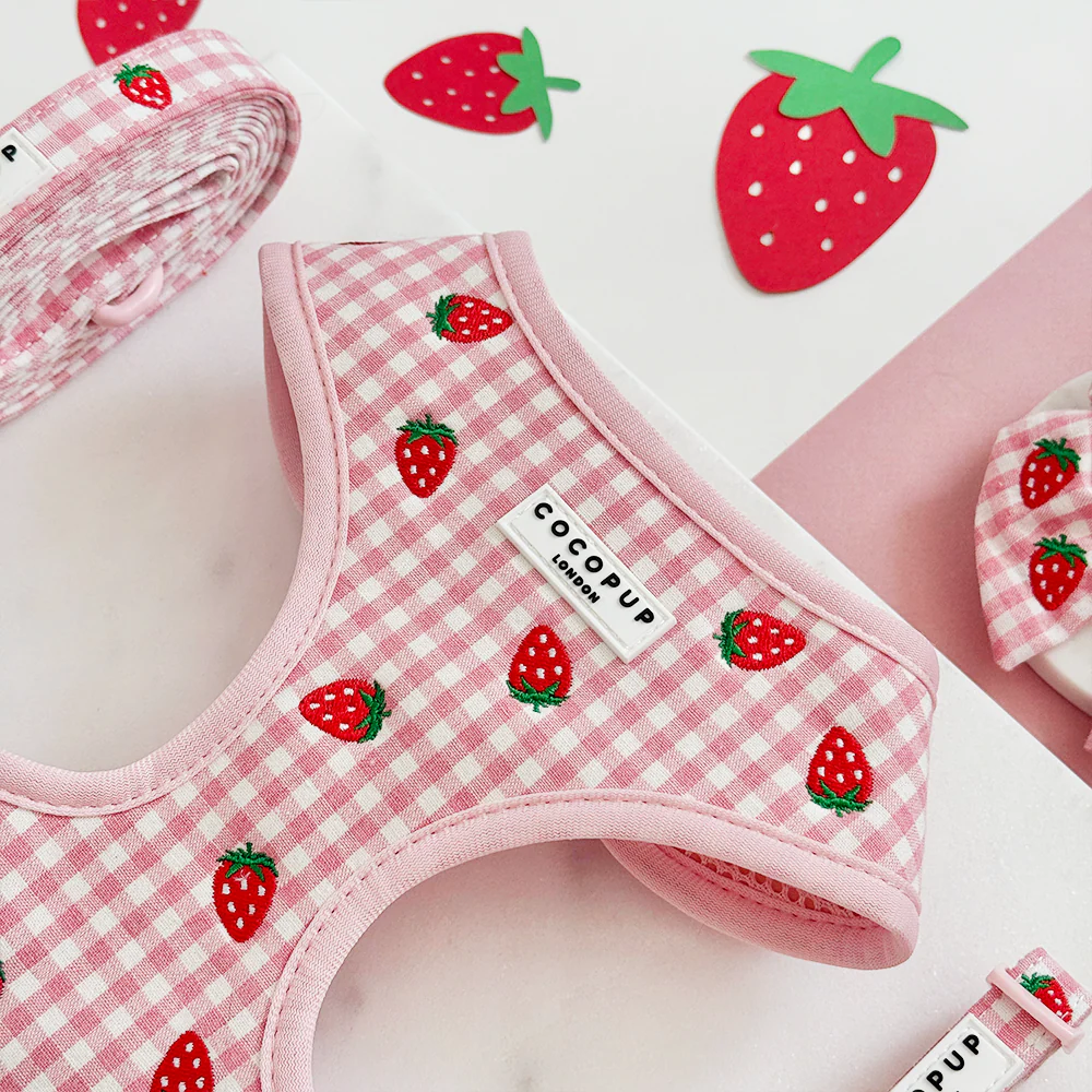 Strawberry Picnic Pup Adjustable Neck HARNESS - Image 2