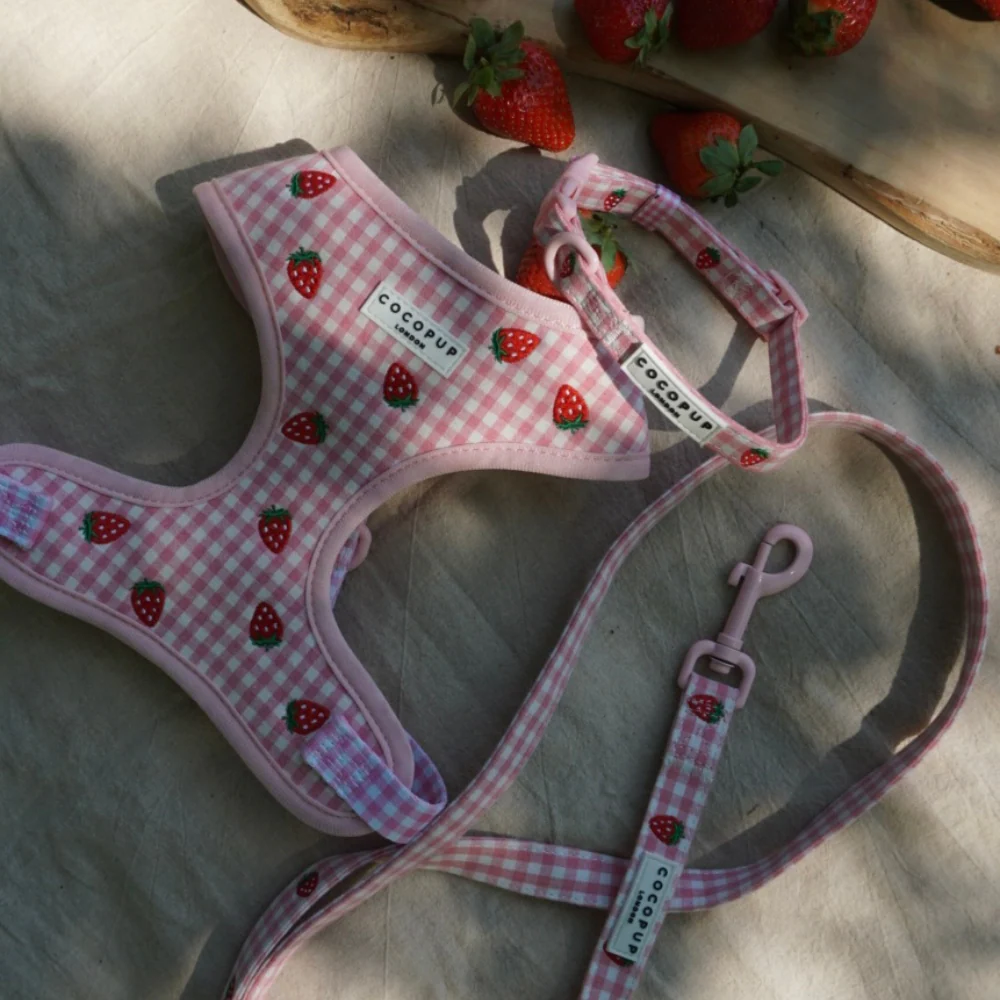 Strawberry Picnic Pup COLLAR - Image 3