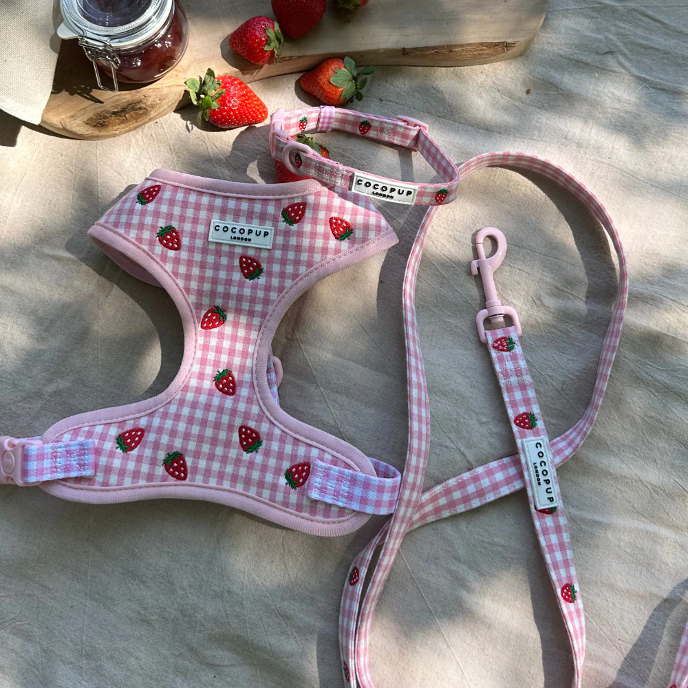 Strawberry Picnic Pup COLLAR - Image 2