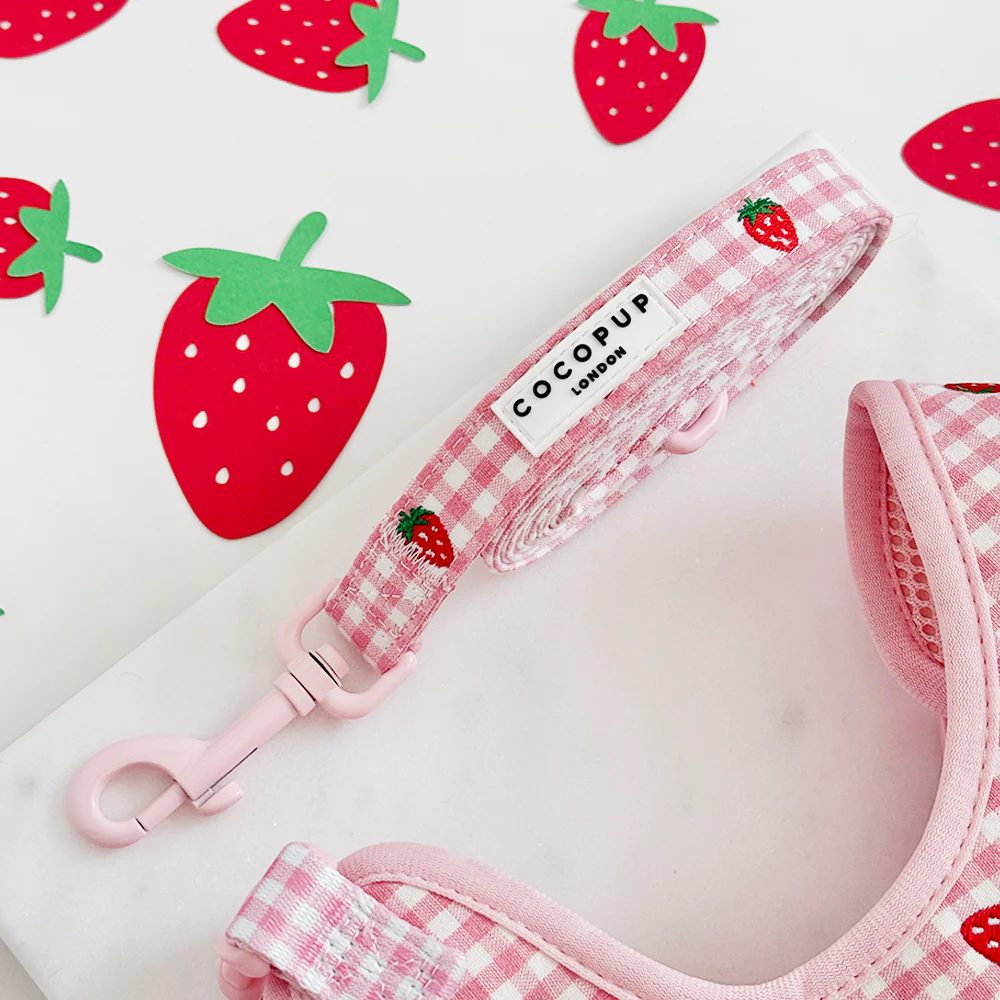 Strawberry Picnic Pup Adjustable Neck Harness, Lead & Collar Bundle - Image 5