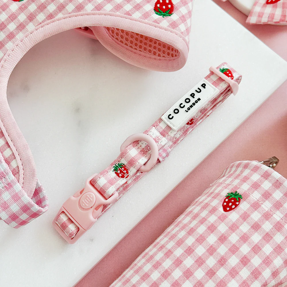 Strawberry Picnic Pup Adjustable Neck Harness, Lead & Collar Bundle - Image 6