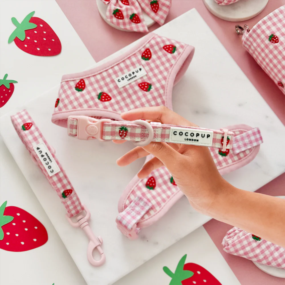 Strawberry Picnic Pup Adjustable Neck Harness, Lead & Collar Bundle - Image 7