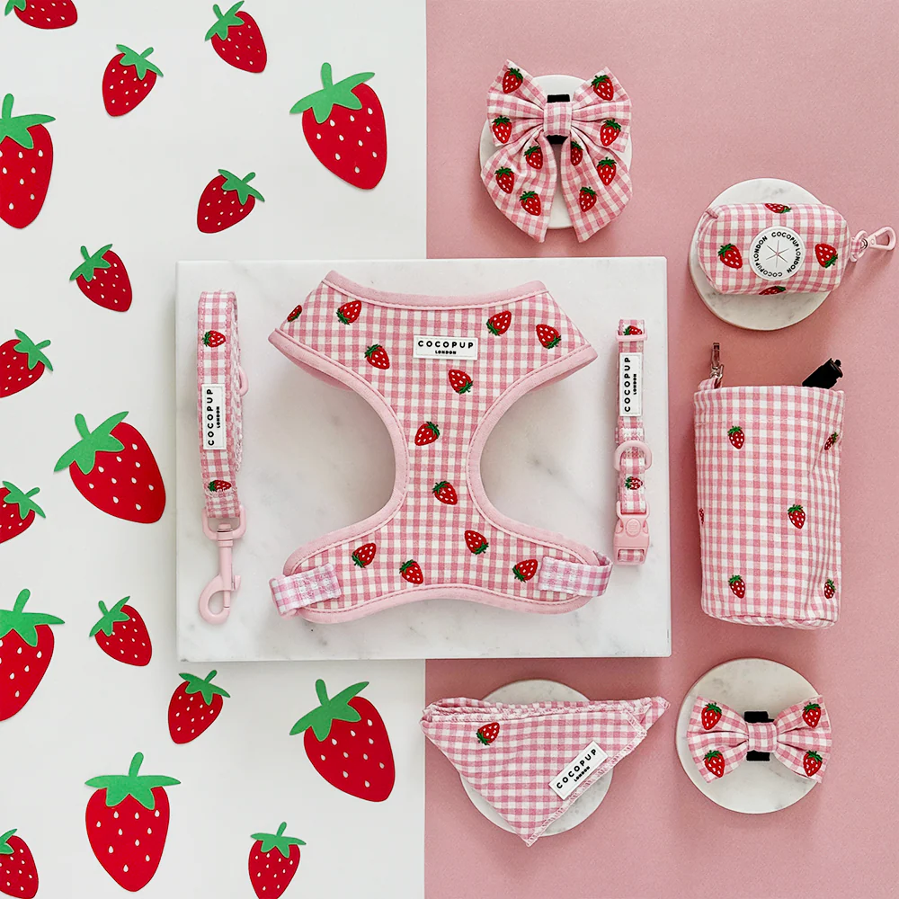 Strawberry Picnic Pup Adjustable Neck Harness, Lead & Collar Bundle - Image 8