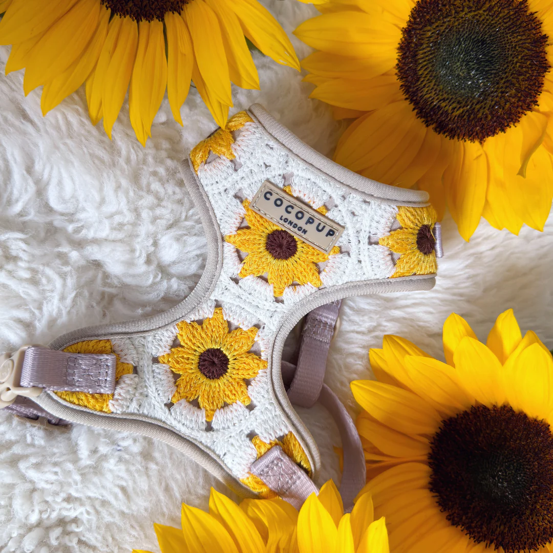 Sunflower Patch Adjustable Neck Harness, Lead & Collar Bundle - Image 24
